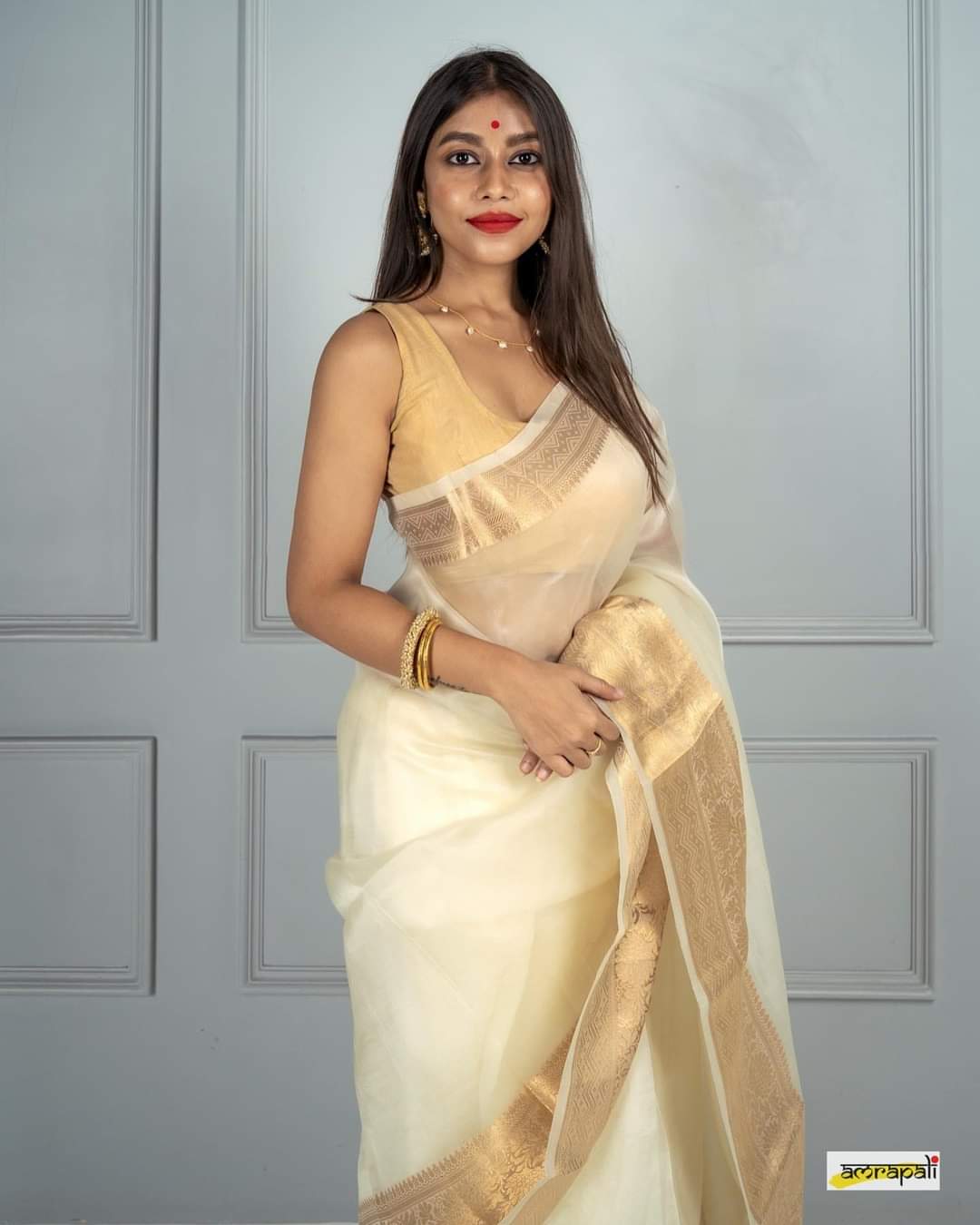 Banarasi Dyeable Kora Organza Silk Saree